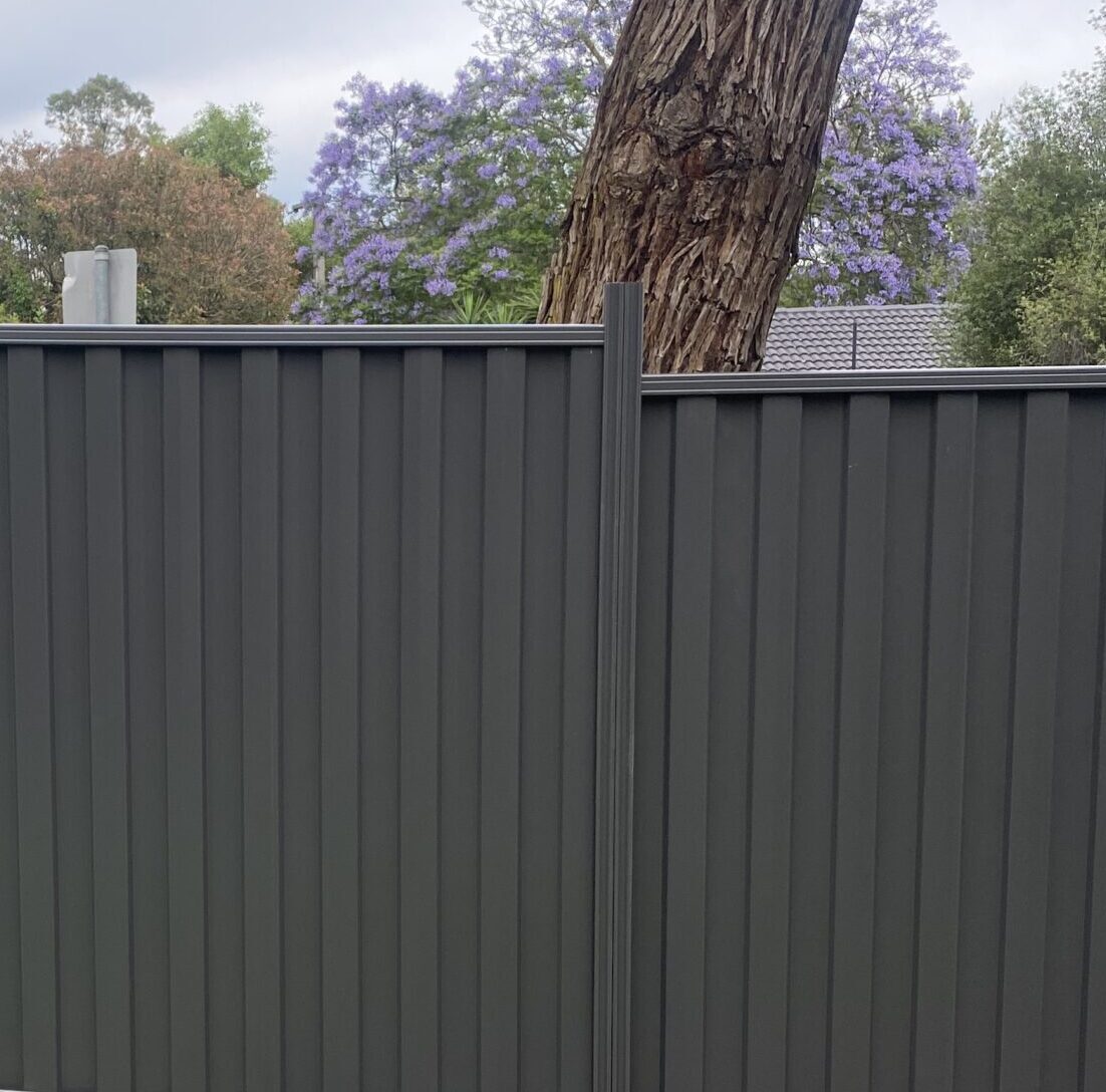 Colorbond Fence